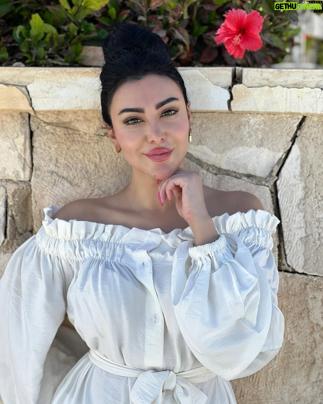 Mirhan Hussein - 67.1K Likes - أضحى مبارك 
كل سنة و انتو طيبين 🤍