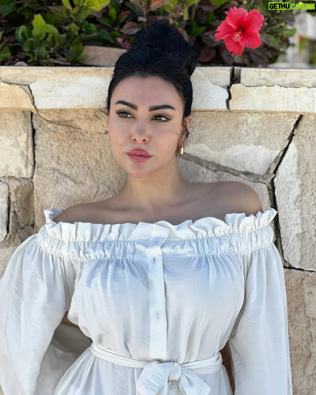 Mirhan Hussein - 67.1K Likes - أضحى مبارك 
كل سنة و انتو طيبين 🤍