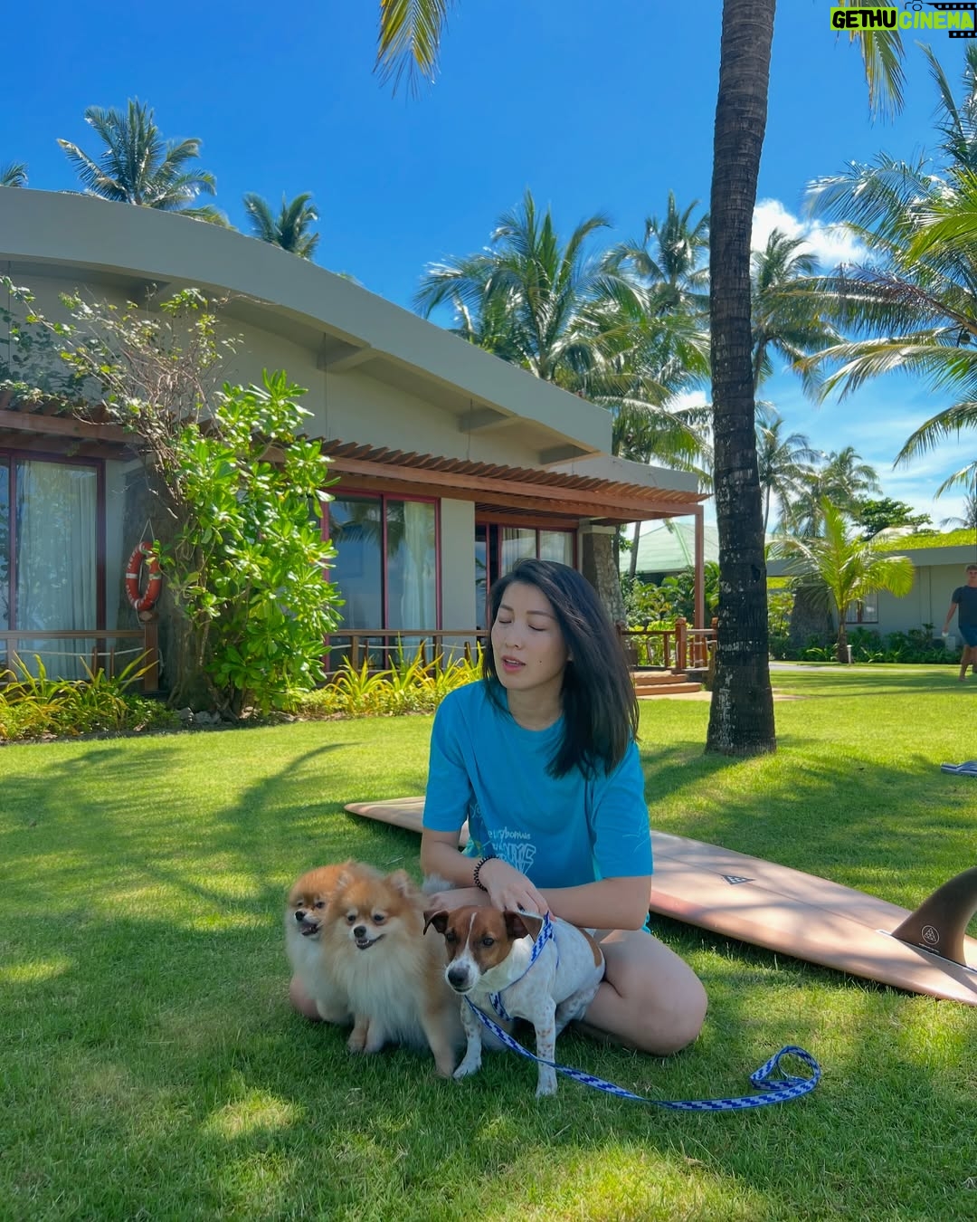 Moe Set Wine - 2.2K Likes - My little place of happiness . If their eyes are a place I will call it my safe haven. Those starry eyes that said a millions words just to make me feel that everything is ok and we are here for you mommy . #love #dogsofinstagram #pomeranian #jackrussellsofinstagram