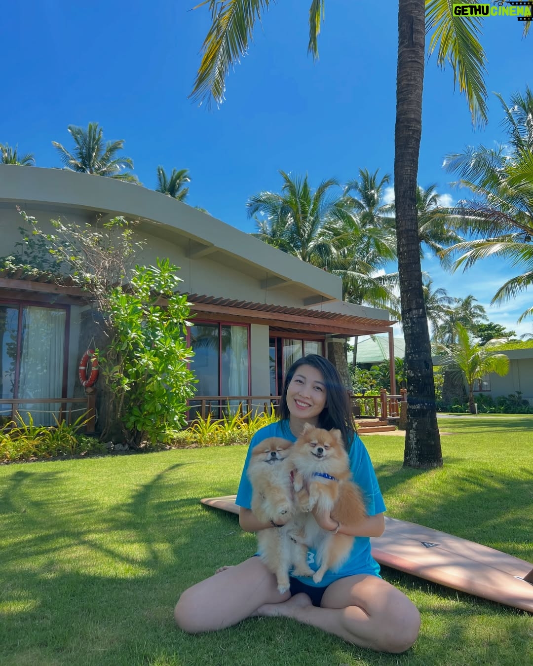 Moe Set Wine - 2.2K Likes - My little place of happiness . If their eyes are a place I will call it my safe haven. Those starry eyes that said a millions words just to make me feel that everything is ok and we are here for you mommy . #love #dogsofinstagram #pomeranian #jackrussellsofinstagram