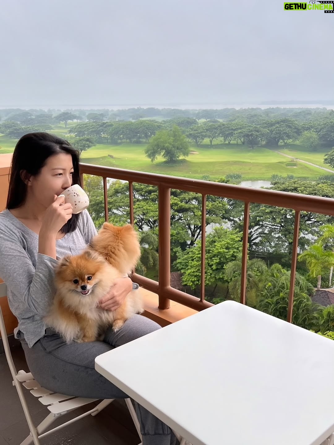 Moe Set Wine - 834 Likes - Nothing fancy — just a warm cup, wagging tails, and the softest kind of joy.
