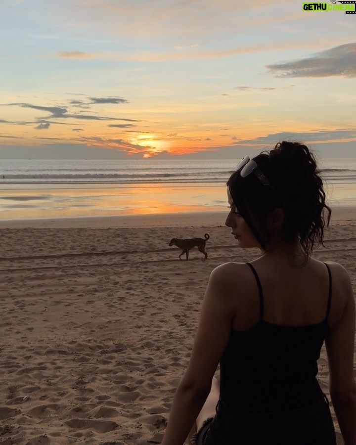 Molina Sodhi - 865 Likes - 🌞🏖️

#goavibes #beachlife #agondabeach #goatourism