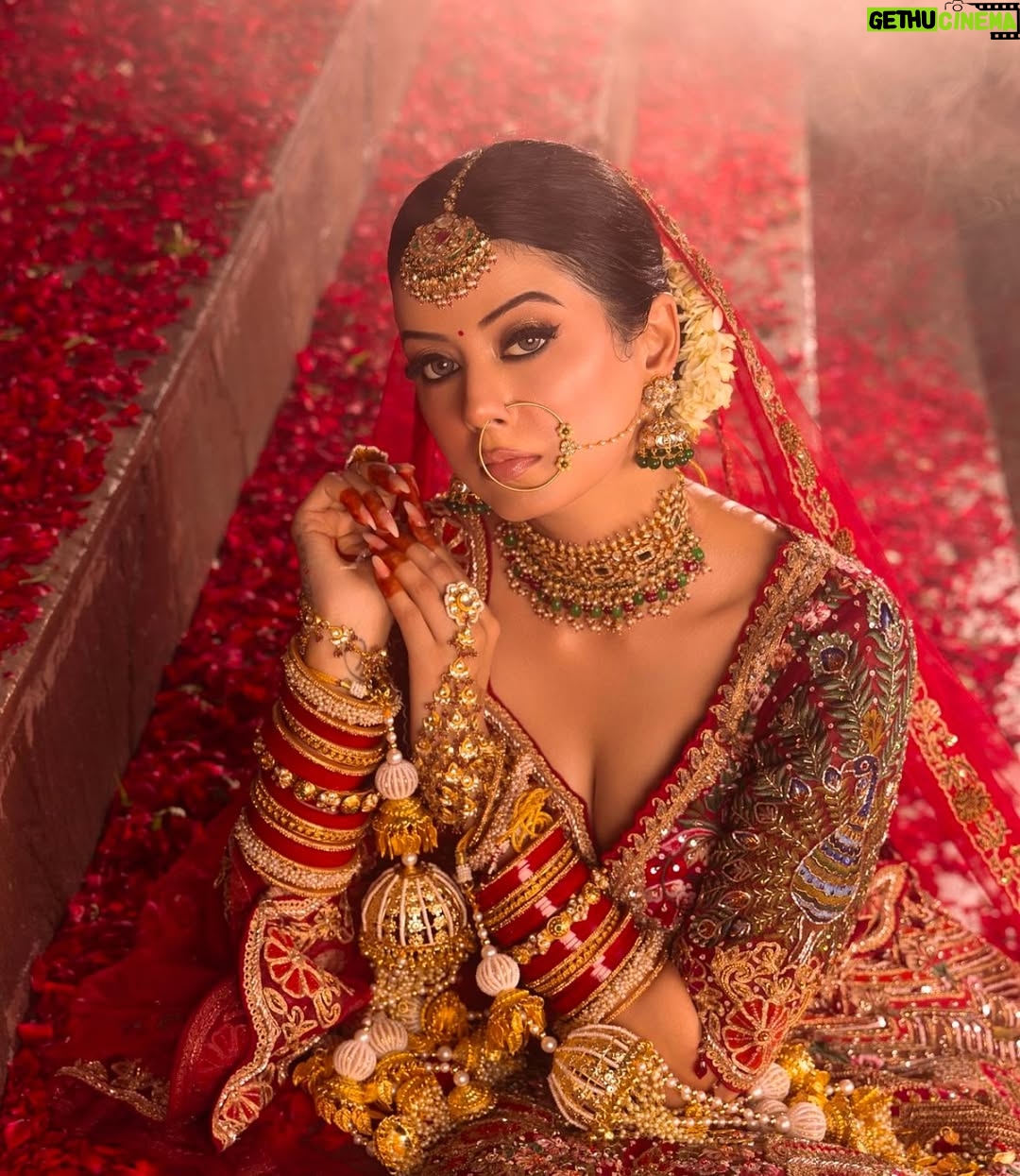 Molina Sodhi - 437 Likes - 🌹