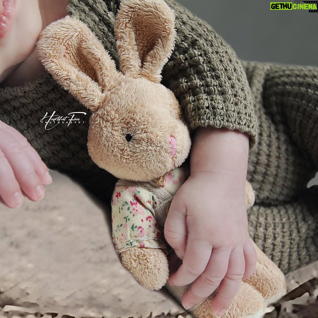 Mona Allen - 200 Likes - Photoshoot Newborn Persia Pekin baby of @mona.allen & @pekin7words 
.
Tema : Moon (Digital)
.
#heartshotfocus #heartshotstudio #newbornphotography #gambarbaby #babyboy #babygirl #newbornphotographer #newbornbaby #newbornprops #cutebaby #newbornasia #newbornkualalumpur #newbornselangor #newbornshahalam #newbornbangi #newborndamansara #newbornklang #newborncheras