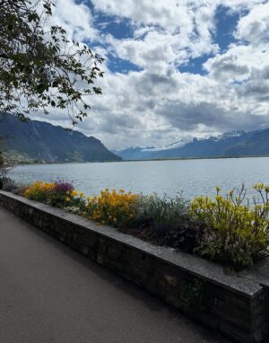 Myrna Nour El Din Instagram - LOVE🇨🇭⛰️🍫🌸