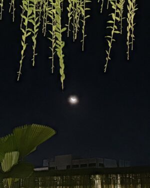 Nabilah Ratna Ayu Azalia Instagram - Kenangan di 10 malam terakhir Ramadhan.
Perasaan campur aduk, sedih karna Ramadhan udah pergi tp seneng karna menyambut lebaran. Alhamdulillah terima kasih ya Allah atas segala nikmat yg engkau berikan kami bisa berkumpul di Ramadhan tahun ini dan bisa i’tikaf lagi bareng papa mama kakak dan adikku sampai Ramadan selesai.
Walaupun Ramadhan telah pergi tolong bantu kami ya Allah agar bisa menjadi pribadi yg lebih baik lagi dan semoga engkau izinkan kami untuk bertemu lagi di Ramadhan berikutnya🥹🤲🏻
Allahumma bariik