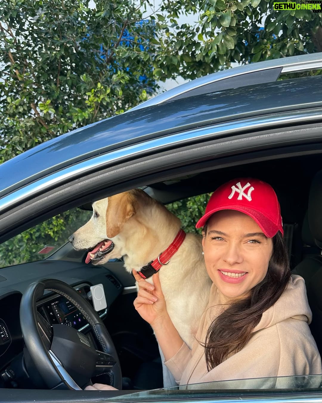 Najla Ben Abdallah - 26.6K Likes - #seatfamily #seatateca #doglovers #lifestyle @seattunisie ❤️