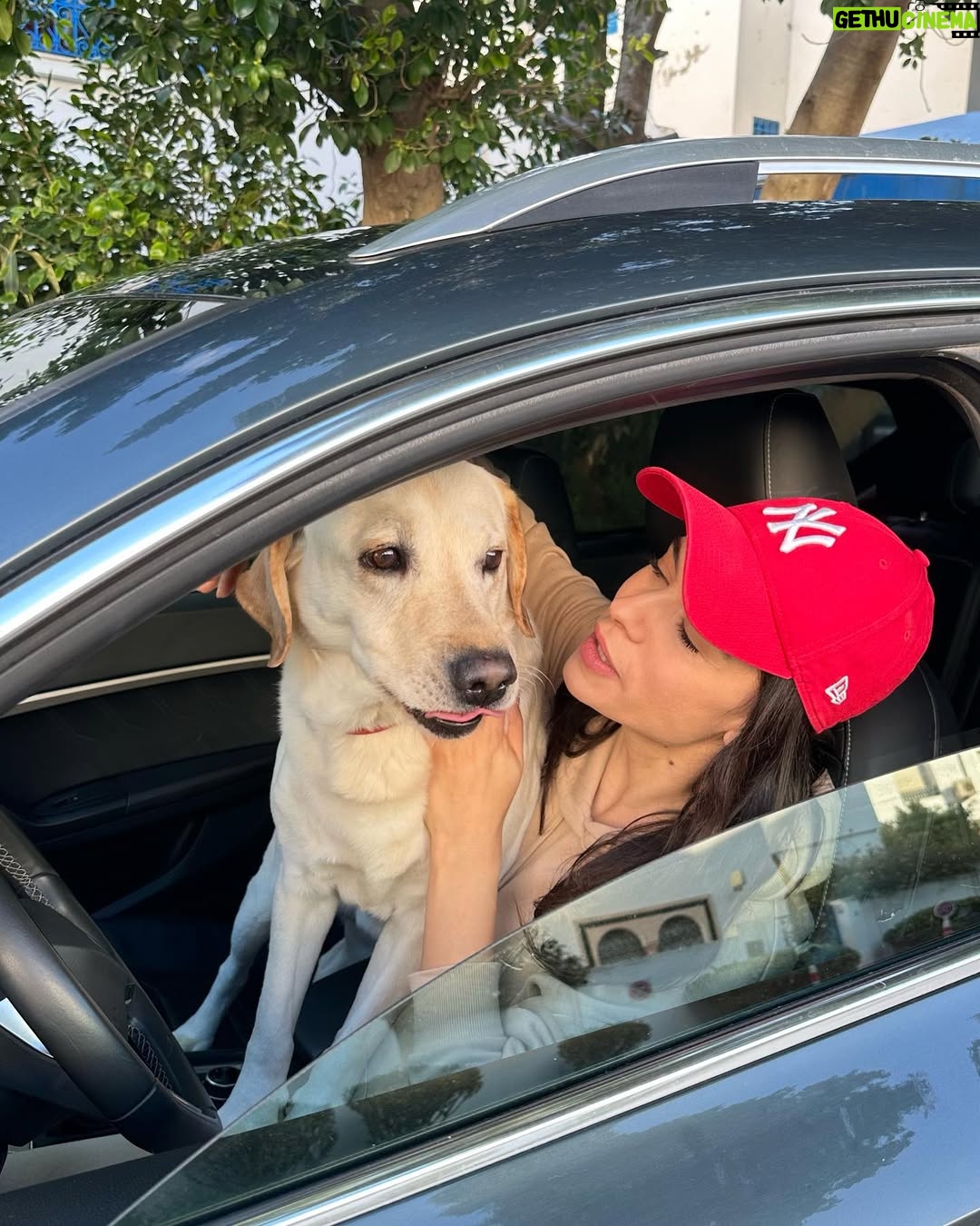 Najla Ben Abdallah - 26.6K Likes - #seatfamily #seatateca #doglovers #lifestyle @seattunisie ❤️