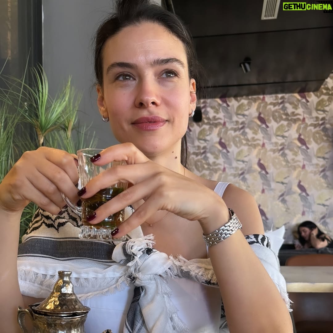Najla Ben Abdallah - 54.6K Likes - 🇵🇸