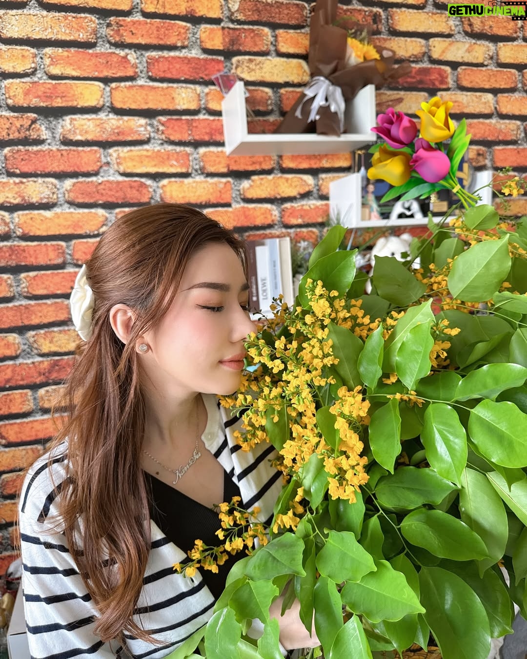 Nan Su Yati Soe - 797 Likes - #ပထမဆုံးပိတောက် #myanmarnewyear #thingyan #padauk