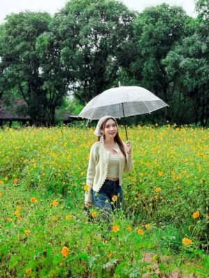 Nan Su Yati Soe Instagram - မိုးတွေသည်းသည်းမည်းမည်းရွာသွန်းခဲ့တဲ့ နေ့လေးတနေ့ပေါ့ မင်းနဲ့တွေ့ပါတယ် 🌧️ ☔️❤️ #rainy #flowers