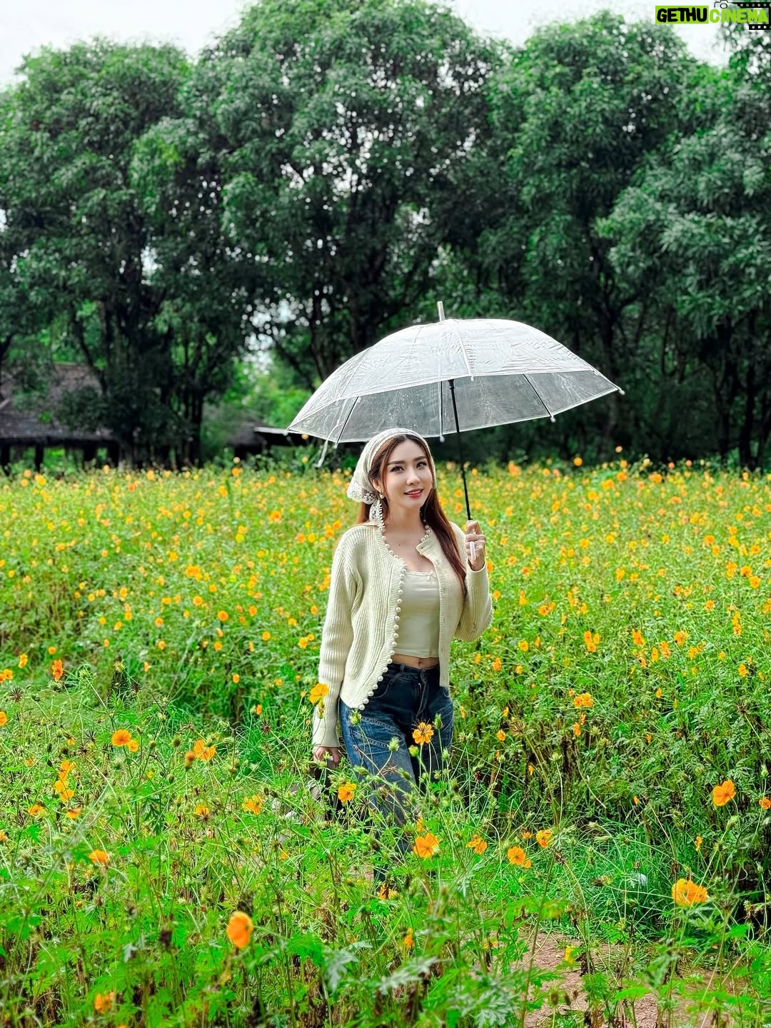 Nan Su Yati Soe - 778 Likes - မိုးတွေသည်းသည်းမည်းမည်းရွာသွန်းခဲ့တဲ့ နေ့လေးတနေ့ပေါ့ မင်းနဲ့တွေ့ပါတယ် 🌧️ ☔️❤️ #rainy #flowers