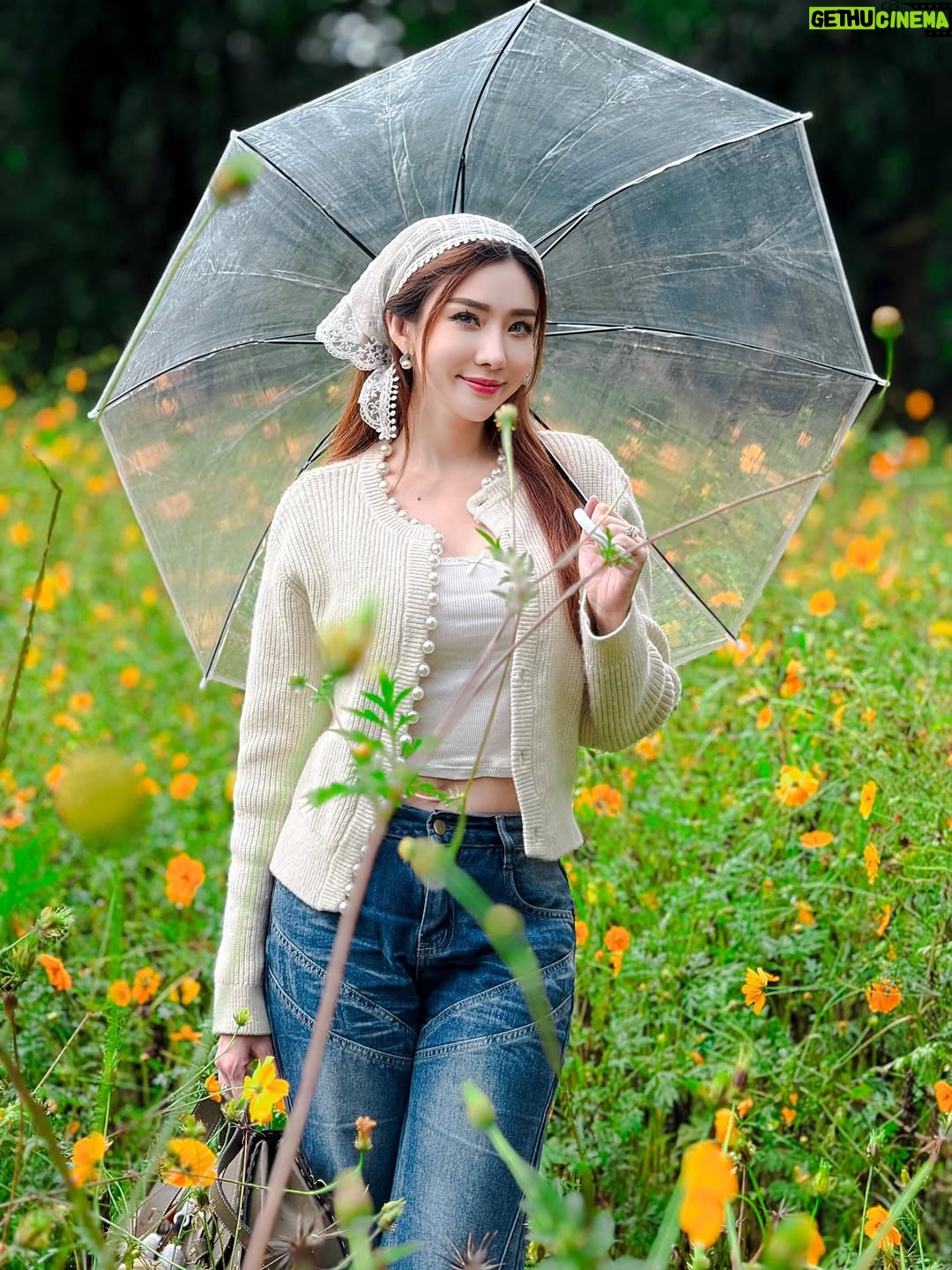 Nan Su Yati Soe - 778 Likes - မိုးတွေသည်းသည်းမည်းမည်းရွာသွန်းခဲ့တဲ့ နေ့လေးတနေ့ပေါ့ မင်းနဲ့တွေ့ပါတယ် 🌧️ ☔️❤️ #rainy #flowers