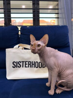 Nana Mahazan Instagram - It’s Tiggy’s 5th birthday today. Mummy almost forgot, sib baik Althea ingatkan. Sorry Tiggy xde party tahun ni 🥹 Hahaha.. mcm ada pun sebelum ni. But pls know that u bring so much joy to our family. We love you so much Tiggy.. 🥹 Ingat lagi first tume mummy bawak balik Tiggy masa tu baru lepas MCO.. Daddy xtahu pun, Althea n Aaqib pun tak tahu.. surprise masa tu.. Mmg surprise bethol sbb daddy speechless binatang apa mummy bawak balik.. Thank you mummy @woorackpetstudio_official sbb sempurnakan impian mummy.. Mmg Tiggy utk mummy.. 🤍 Doakan mummy ok Tiggy.. love you so much..
Pix 1&2 now 5 tahun, yg lain dari setahun smp 4 tahun 🥹😭 so big boy dah.. 🤍