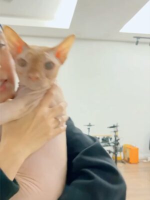 Nana Mahazan Instagram - It’s Tiggy’s 5th birthday today. Mummy almost forgot, sib baik Althea ingatkan. Sorry Tiggy xde party tahun ni 🥹 Hahaha.. mcm ada pun sebelum ni. But pls know that u bring so much joy to our family. We love you so much Tiggy.. 🥹 Ingat lagi first tume mummy bawak balik Tiggy masa tu baru lepas MCO.. Daddy xtahu pun, Althea n Aaqib pun tak tahu.. surprise masa tu.. Mmg surprise bethol sbb daddy speechless binatang apa mummy bawak balik.. Thank you mummy @woorackpetstudio_official sbb sempurnakan impian mummy.. Mmg Tiggy utk mummy.. 🤍 Doakan mummy ok Tiggy.. love you so much..
Pix 1&2 now 5 tahun, yg lain dari setahun smp 4 tahun 🥹😭 so big boy dah.. 🤍