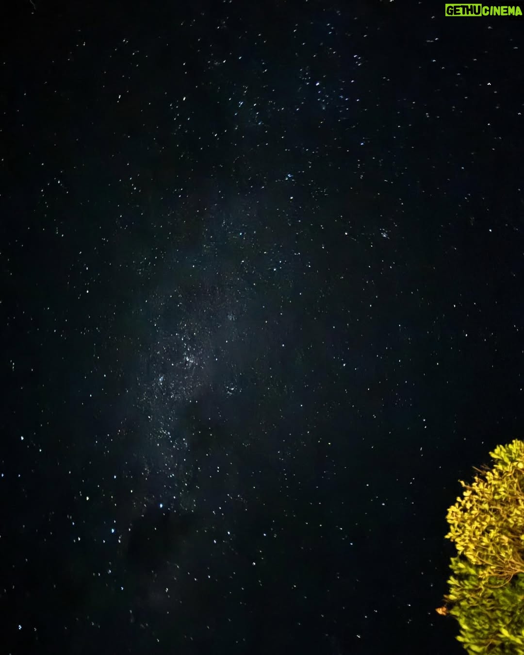 Nana Mirdad - 22.2K Likes - May dump part one 🤍✨

#newzealandfinds #happylife #northislandnewzealand