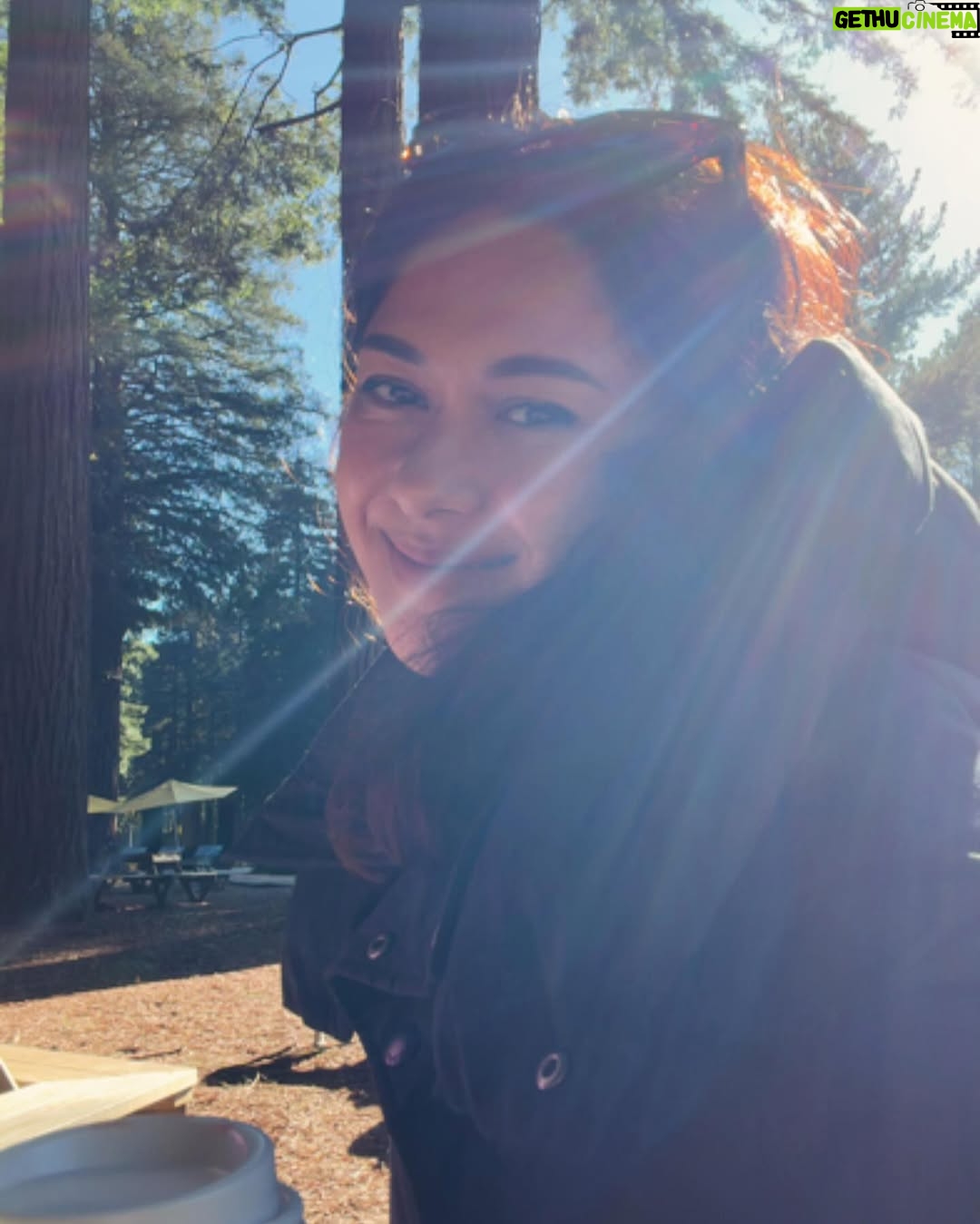 Nana Mirdad - 22.2K Likes - May dump part one 🤍✨

#newzealandfinds #happylife #northislandnewzealand