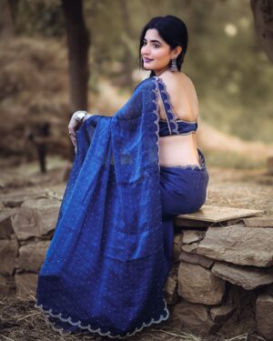 Nandani Sharma Instagram - Saree on demand 🥰