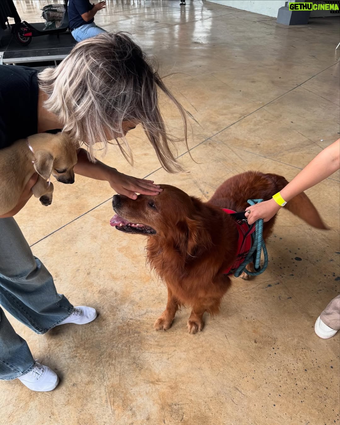 Nashla Bogaert - 30.9K Likes - Nada se compara con el cariño de un perrito!!!
Ven a abrazarlos y a enamorarte de ellos… quizás te vas de aquí adoptando un peludito que te amará para siempre!!!
Esta es la @feriafundapef2025 🐾
Estamos en la parada de la cultura, Santo Domingo Este… hoy y mañana hasta las 9pm.
 
Y si no puedes adoptar… ven y aporta con tu presencia.
Hagamos el mundo que merecen, un mundo lleno de amor y respeto hacia estos seres tan especiales. 
@fundapef