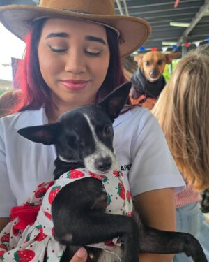 Nashla Bogaert Instagram - Nada se compara con el cariño de un perrito!!!
Ven a abrazarlos y a enamorarte de ellos… quizás te vas de aquí adoptando un peludito que te amará para siempre!!!
Esta es la @feriafundapef2025 🐾
Estamos en la parada de la cultura, Santo Domingo Este… hoy y mañana hasta las 9pm.
 
Y si no puedes adoptar… ven y aporta con tu presencia.
Hagamos el mundo que merecen, un mundo lleno de amor y respeto hacia estos seres tan especiales. 
@fundapef