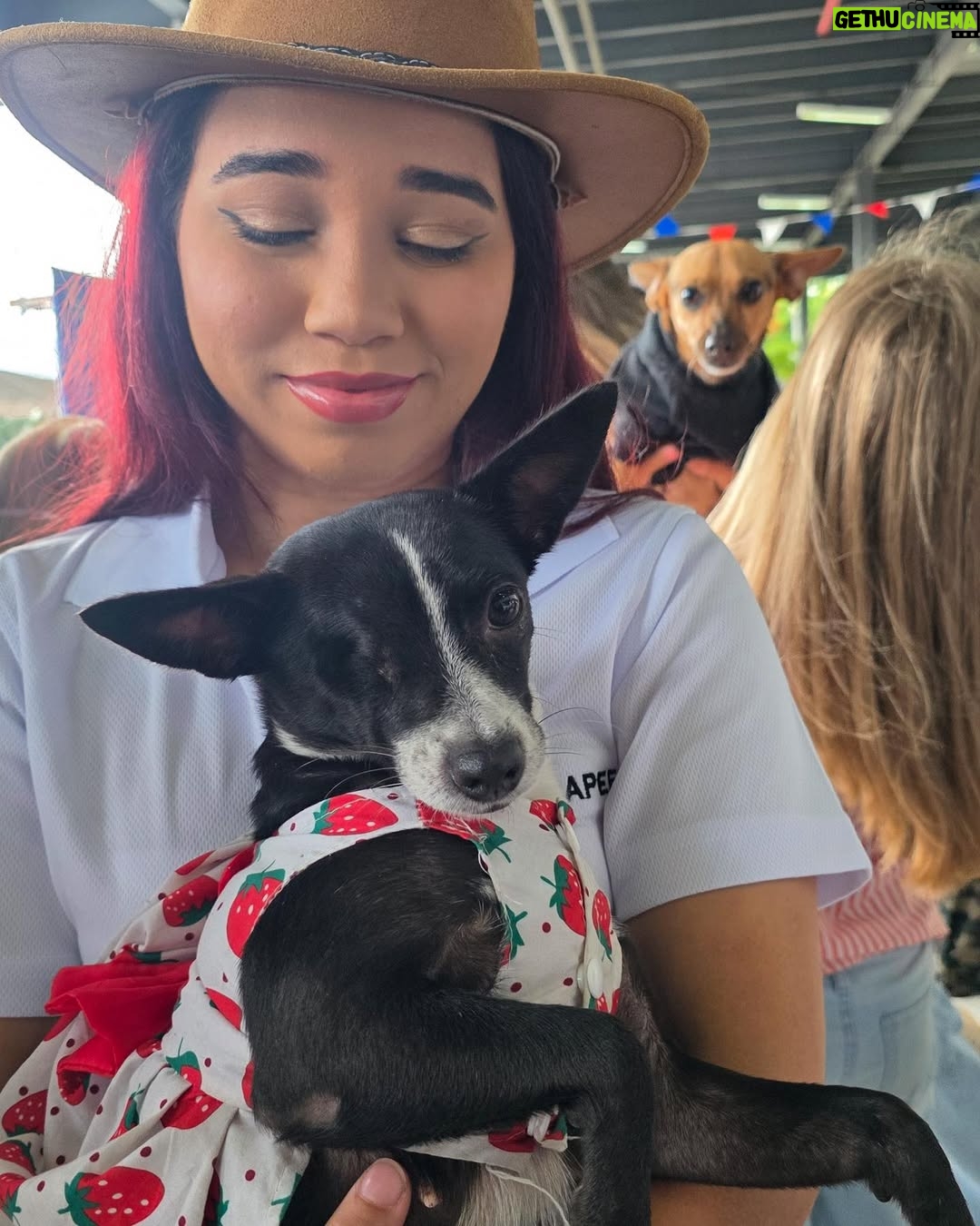 Nashla Bogaert - 30.9K Likes - Nada se compara con el cariño de un perrito!!!
Ven a abrazarlos y a enamorarte de ellos… quizás te vas de aquí adoptando un peludito que te amará para siempre!!!
Esta es la @feriafundapef2025 🐾
Estamos en la parada de la cultura, Santo Domingo Este… hoy y mañana hasta las 9pm.
 
Y si no puedes adoptar… ven y aporta con tu presencia.
Hagamos el mundo que merecen, un mundo lleno de amor y respeto hacia estos seres tan especiales. 
@fundapef