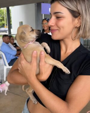 Nashla Bogaert Instagram - Nada se compara con el cariño de un perrito!!!
Ven a abrazarlos y a enamorarte de ellos… quizás te vas de aquí adoptando un peludito que te amará para siempre!!!
Esta es la @feriafundapef2025 🐾
Estamos en la parada de la cultura, Santo Domingo Este… hoy y mañana hasta las 9pm.
Y si no puedes adoptar… ven y aporta con tu presencia.
Hagamos el mundo que merecen, un mundo lleno de amor y respeto hacia estos seres tan especiales.
@fundapef