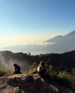 Nasya Marcella Instagram - Pelan-pelan ke checklist lagi daftar Gunung yang sudah di daki 🌄
Gunung Batur ini nggak susah sih tapi buat aku yang suka sesek kalo berangkat nya dari subuh untuk liat sunrise, punya tantangan tersendiri. Kira2 2,5 jam dari penginapan (Toteme Glamping) untuk sampai summit. Perjalanan dibantu oleh @gunungbaturtrekking yang menyiapkan alat2 nya serta sarapan diatas ☺️
Diatas juga ketemu beberapa monyet baik 🐒🐒🐒