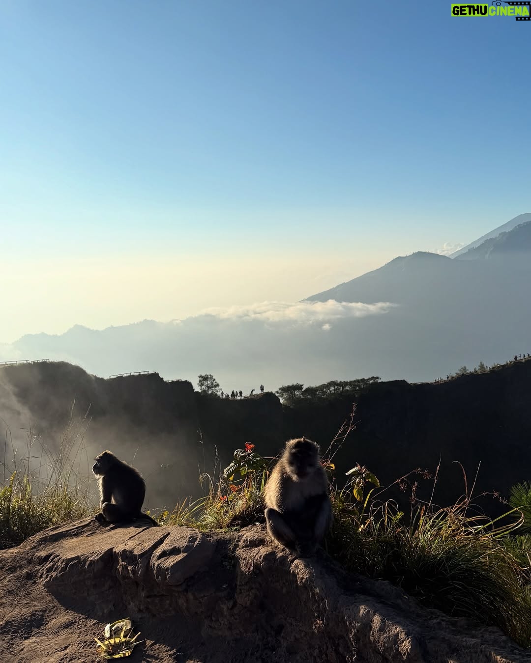 Nasya Marcella - 3 Likes - Pelan-pelan ke checklist lagi daftar Gunung yang sudah di daki 🌄

Gunung Batur ini nggak susah sih tapi buat aku yang suka sesek kalo berangkat nya dari subuh untuk liat sunrise, punya tantangan tersendiri. Kira2 2,5 jam dari penginapan (Toteme Glamping) untuk sampai summit. Perjalanan dibantu oleh @gunungbaturtrekking yang menyiapkan alat2 nya serta sarapan diatas ☺️ 

Diatas juga ketemu beberapa monyet baik 🐒🐒🐒