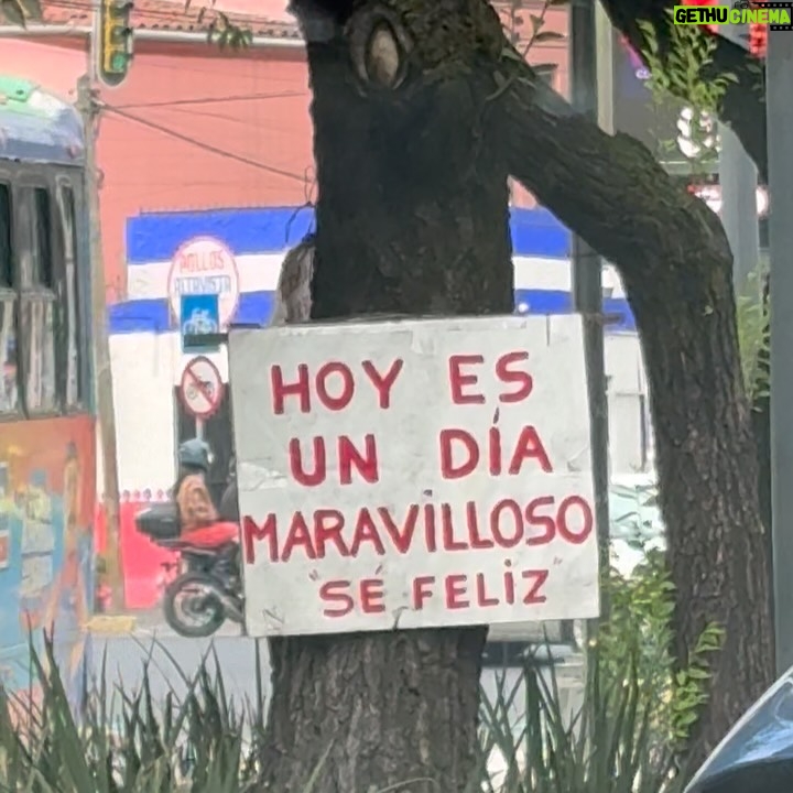 Natasha Dupeyrón - 3 Likes - 🌼🧋🕷️🍑🔪🌶️🧃🍕 btw eran las 11:11 cuando subí el post … 
Luego mi vida se pone triste y luego muy feliz y así… un sube y baja que hace bien.
