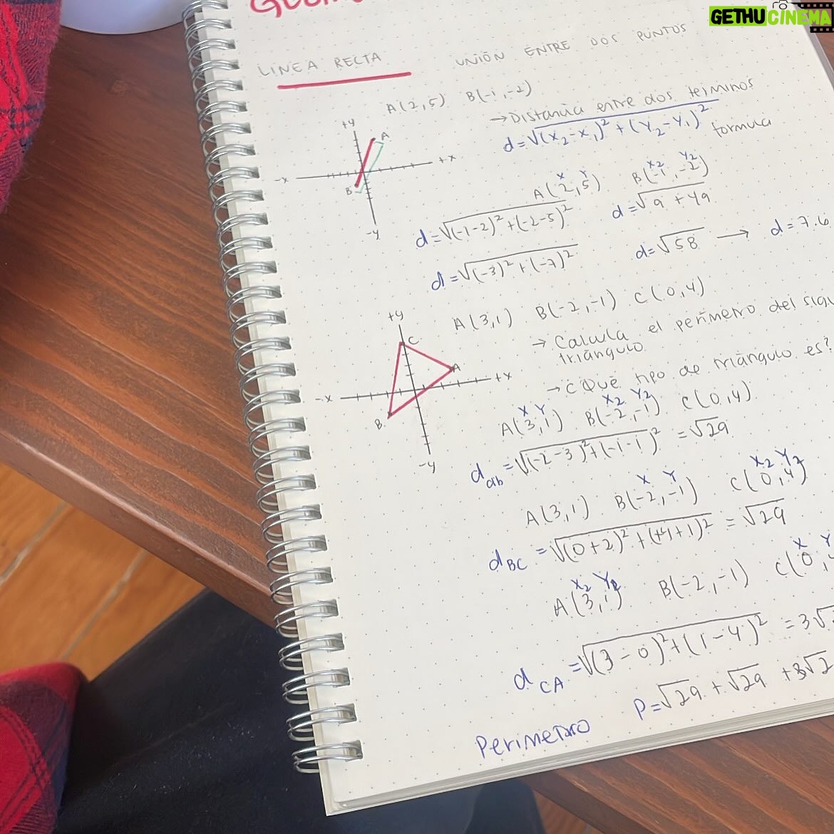 Natasha Dupeyrón - 3 Likes - Hoy recibí mi certificado de preparatoria. Con 9.5 de promedio.
¡Nunca imaginé que iba a escribir algo así! Jajaja 

Cuando era niña, no fui a la escuela. Trabajé desde muy chica, y crecí con la idea de que estudiar no era para mí. Que no podía. Que no servía para eso.
Me daba miedo estar en una reunión y que hablaran de cosas que yo no entendía.
Me daba miedo preguntar.
Me daba miedo fallar.

Intenté estudiar música una vez, con mucha ilusión. Pero no tenía la escuela terminada y no me dejaron entrar.
Y eso me dolió. 
Me sentí limitada. Sin opciones. Con una autoestima tan bajita que me convencí de que nunca iba a poder.

Pero hace un año, después de mucha terapia (jeje) me atreví. Empecé a estudiar. Me dio miedo, dejé trabajos para poder concentrarme, estudié horas, me frustré, me juzgué, me quise rendir… pero seguí.
Y algo cambió.

Me enamoré de la física. La química dejó de darme miedo. Aprendí que soy buena para las matemáticas (¡el álgebra es mi pasión!) Me emocioné con la historia, la filosofía, la psicología. Aprendí de derecho, sociología, literatura, estructura socioeconómica de México y biología. Me armé una mochila con cuadernos, plumones, prit, mi pequeña impresora, una INCREÍBLE calculadora (que lo tiene todo) y empecé a construir mi forma de aprender. Y me encantó.

Conocí a mi maestra Mónica. Una guía amorosa que me dio confianza y estructura. ( @moni_balmar te tqm✨🫶🏻🌻) 
Y por primera vez, sentí que estaba haciendo algo por y para mí.

Hoy abrazo a la Nata chiquita, y le digo:
No, no eres tonta.
Sí, vas a terminar la escuela.
Y un día vas a estar orgullosa. Como hoy.

Hoy tengo opciones.
Hoy sé que puedo.
Y sí, con todo mi corazón, lo digo fuerte: lo logré. 

Gracias a todas la apersonas que me apoyaron en este proceso. 🌻🫶🏻🌞✨♥️🔥 

¡Necesito hacer mi graduación! A FESTEJAR 👩🏻‍🎓