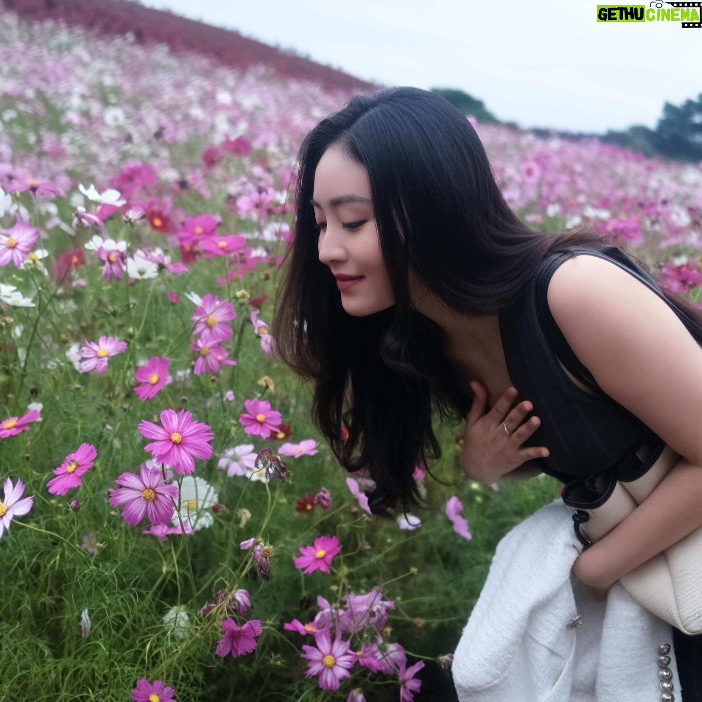 Natasha Wilona - 278.4K Likes - Dimana ? 🌸