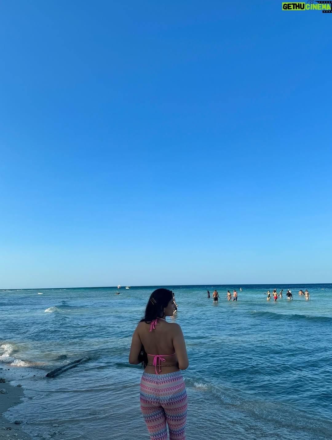 Neha Nirwal - 5.8K Likes - Tropical 🌴 island feels, soulful Bali food 🍱 
.
.
.
.
.
.
.
.
.
.
.
#portrait #portraitphotography #fotografía #fotografie #aesthetic #postitfortheaesthetic #explore #explorepage #fyp #fypシ゚ #bali #indonesia #travel #travelgram #travelislife #travelphotography #travelblogger #beach #gillitrawangan
