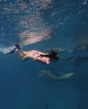 Nicole Parham Instagram - bits of maldives 🌊🐚🏝️ 🩵