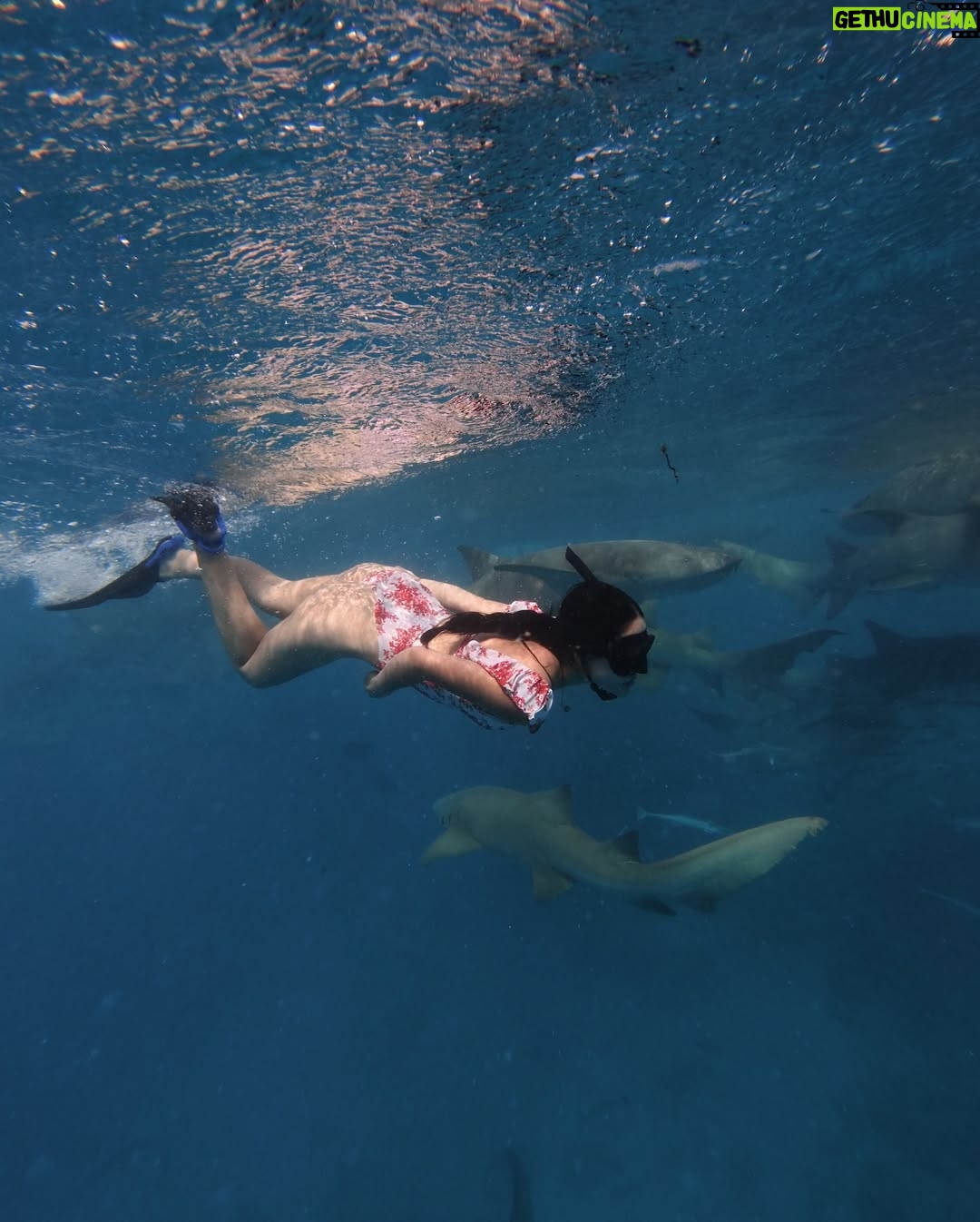 Nicole Parham - 5K Likes - bits of maldives 🌊🐚🏝️ 🩵