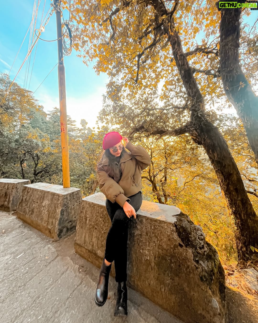 Nidhy Tiwari - 3.1K Likes - Let nature nurture your soul.. ⛰️✨