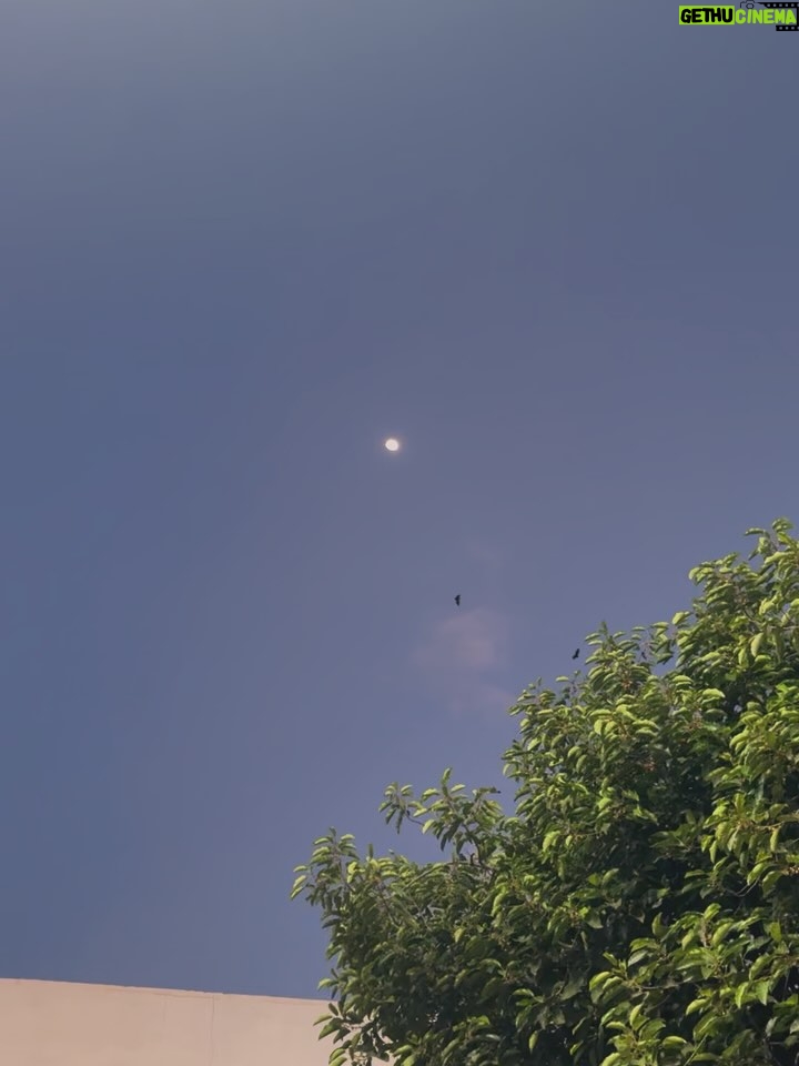 Nikhat Zareen - 13.3K Likes - Eid toh hai, lekin wo wali Eid nahi jisme Ammi ke haath ka khana aur sab ka saath ho..🥺

#EidAwayFromFamily