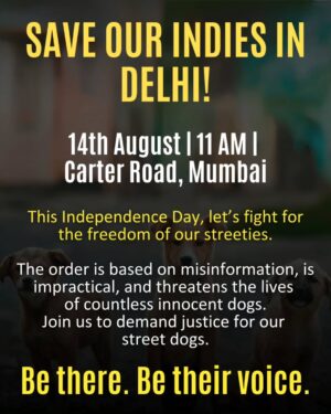 Nikita Ghag Instagram - 🚨LOCATION CHANGE ALERT🚨
#mumbai, it’s now or never.
This is not just about being a “dog lover" anymore.
It’s about justice, humanity, and protecting the voiceless.
The recent Supreme Court order passed suo moto and based on fake news is impractical, dangerous, and could take away our dogs forever.
Delhi doesn’t have the facilities or funds to carry it out, and forcing it will create suffering, chaos, and bigger problems for humans and animals alike.
We need your voice, your presence, and your reach.We need the press watching.We need every scroll on social media to see that Mumbai stands with Delhi, and that this country will not turn its back on its dogs.
We need every dog lover, every city, to unite in asking the Supreme Court to reconsider and take a more informed decision.
📍 Jogger’s Park, Bandra West, Mumbai
🗓 14th August
⏰ 11 AM
If you don’t speak now, you may never get the chance again. Let’s make it impossible to ignore us.
Because when we stand together, they have no choice but to listen.
#savedelhincrdogs#abcnotrelocation
#savedelhidogs #supremecourt #rollback#streetsogs#delhidogs#delhi#animallovers