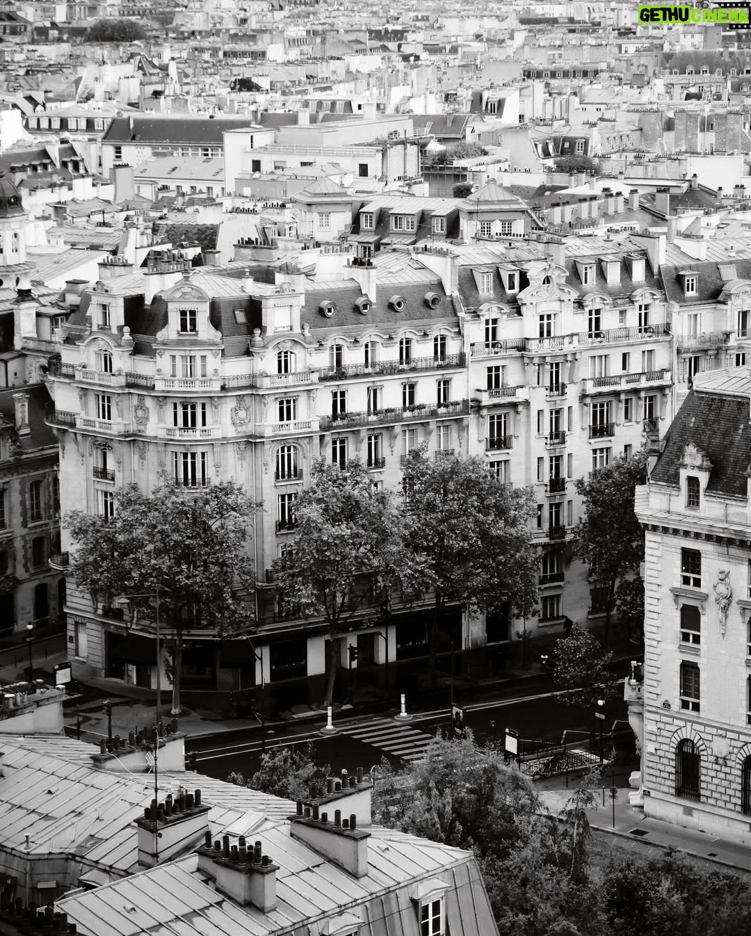 Nikita Mirzani - 355.8K Likes - Reflecting on a day of pure freedom in Paris, where every moment felt like a cherished gift to myself. It’s moments like these that remind me of the beauty in spontaneity and the joy of embracing life’s adventures. Grateful for this experience and the memories that will forever inspire me. 

Captured By @videoparis 

🌟 #ParisianFreedom #CherishedMoments #EmbraceLife