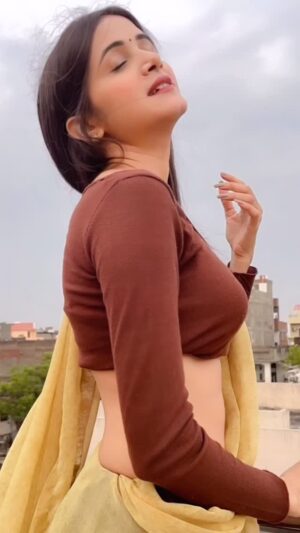 Nikita Vaid Instagram - Aashiqana 🤎
#trending #reels #nikita #niks