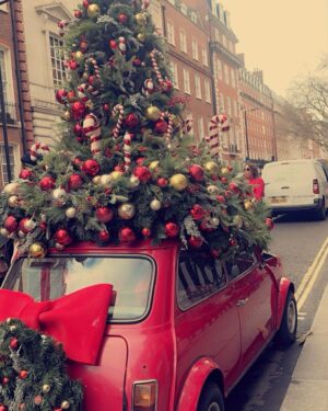 Nina Maghrabi Instagram - 🎄❤️