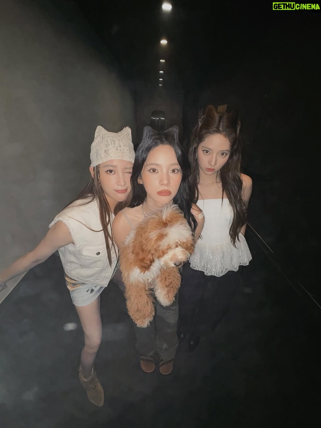 Nini Ouyang - 33.6K Likes - 合體ꪔ̤̥ꪔ̤̮ꪔ̤̫久違了

今晚暫時不當睦睦媽媽
我是妮妮
娜娜娣娣的寶貝姊姊ʕ •ᴥ•ʔ

@nanaouyang 
@_didiouyang__