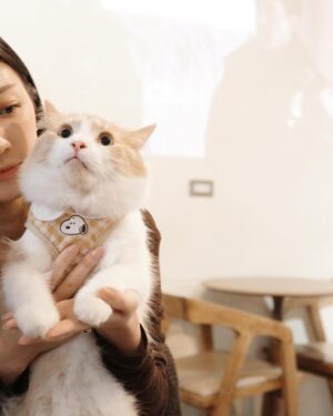 Nini Ouyang Instagram - 把握還可以出門溜搭的日子!🐱🐶
肚子一天比一天大
喜歡的冬天來了🫶🏻
#niniouyang2024