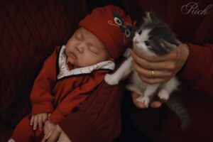 Nini Ouyang Instagram - 今年的新年照
相差7天的兩個小可愛new born 😻👶🏻
你們猜猜誰大誰小呀?❤️
#niniouyang2025