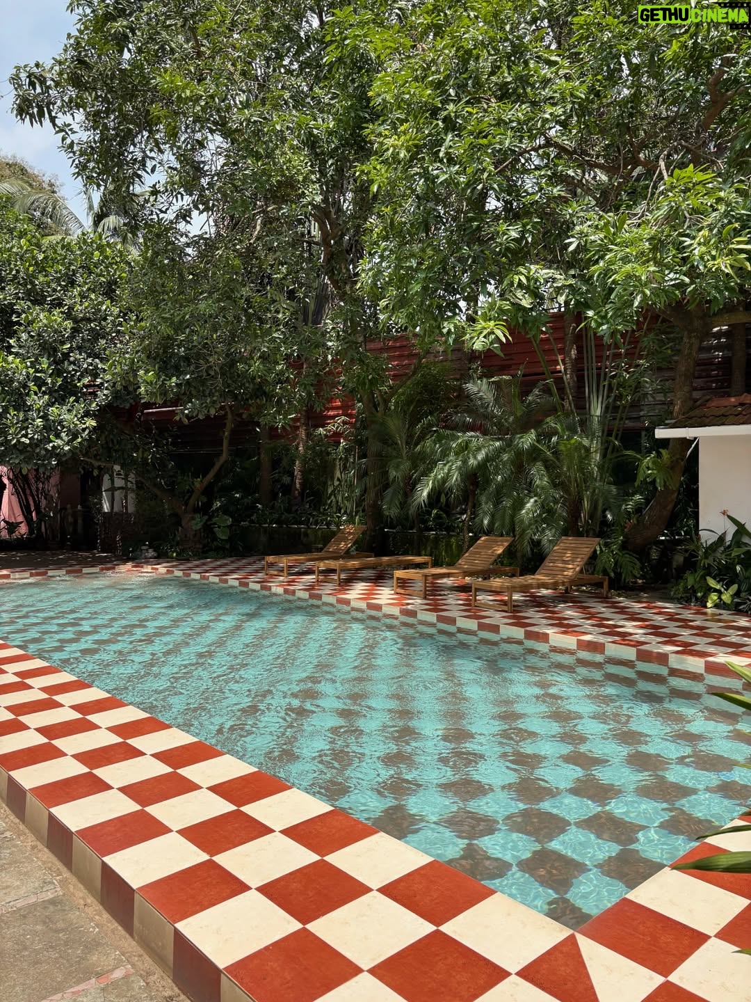 Nish Hair - 4.7K Likes - Malkin & Malik have officially arrived in Goa🩵
The Nish Hair store opens its doors today at 6 PM. Come stop by, try our products, and celebrate with us

#nishhair #nishhairkimalkin #nishhairgoa #hairextentions