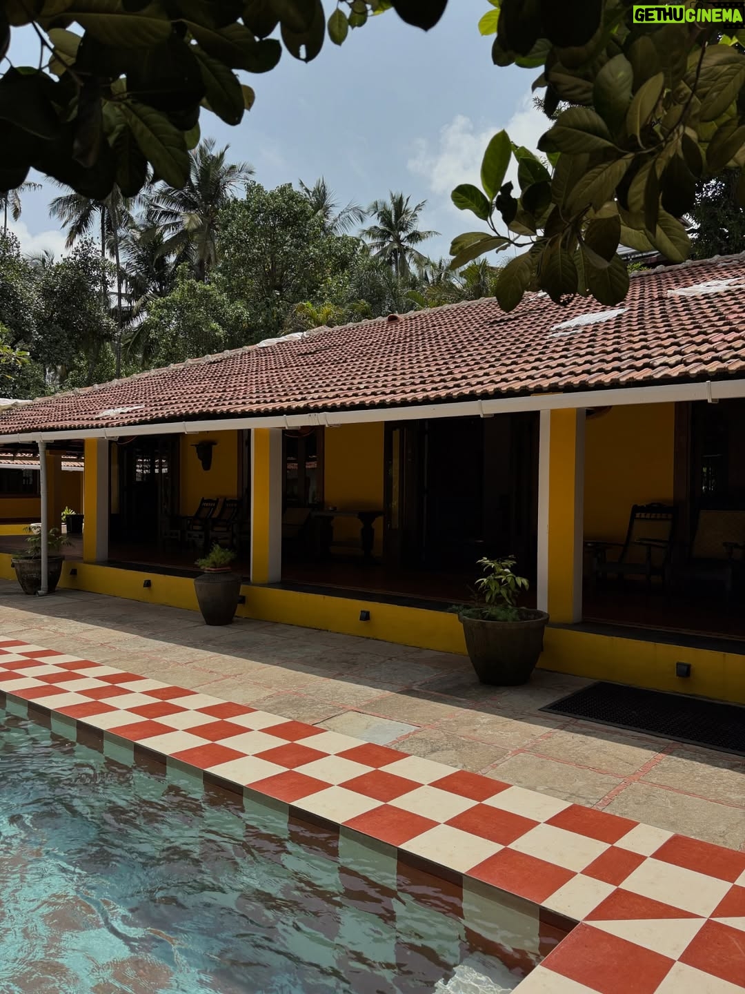 Nish Hair - 4.7K Likes - Malkin & Malik have officially arrived in Goa🩵
The Nish Hair store opens its doors today at 6 PM. Come stop by, try our products, and celebrate with us

#nishhair #nishhairkimalkin #nishhairgoa #hairextentions