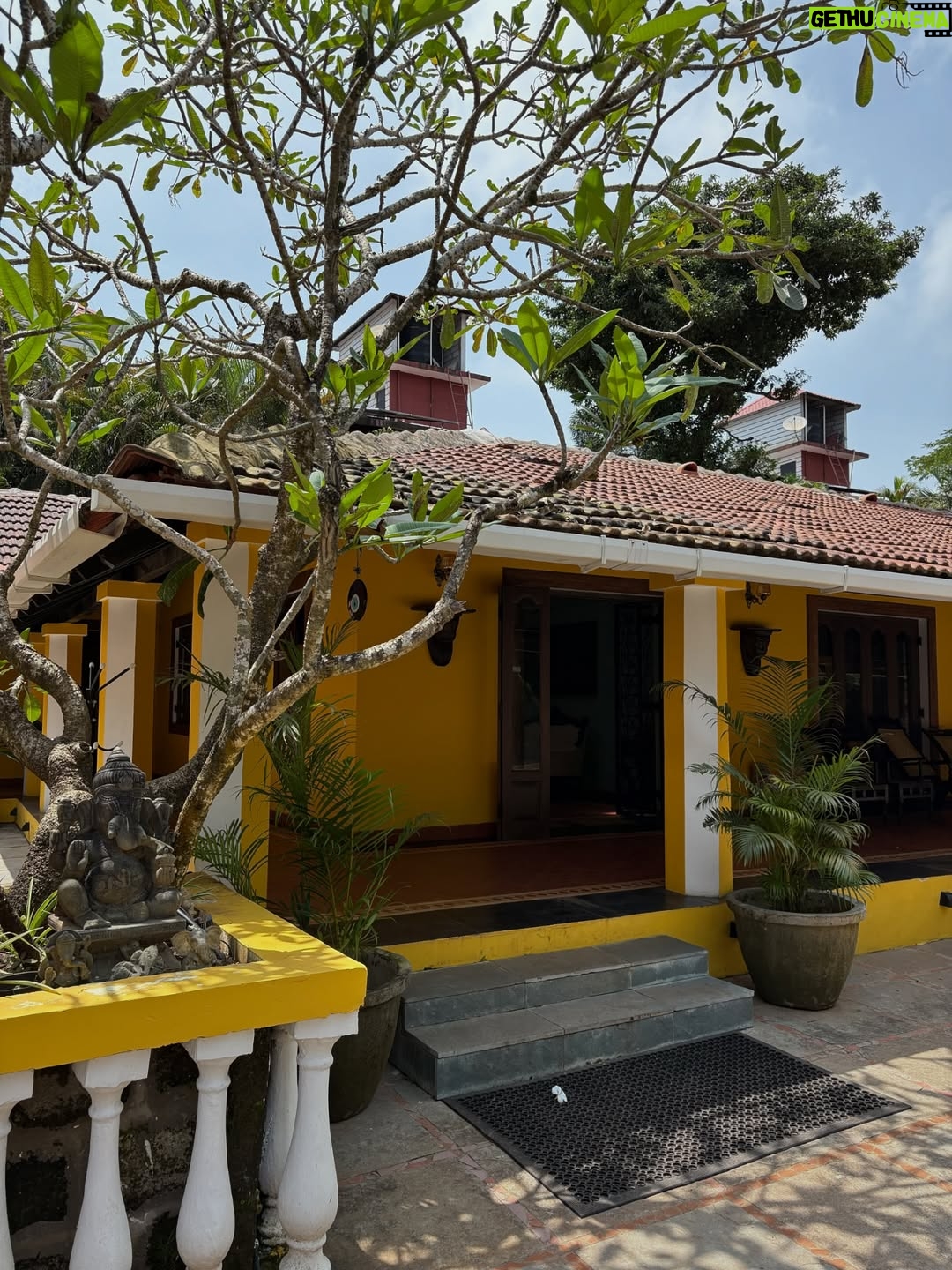 Nish Hair - 4.7K Likes - Malkin & Malik have officially arrived in Goa🩵
The Nish Hair store opens its doors today at 6 PM. Come stop by, try our products, and celebrate with us

#nishhair #nishhairkimalkin #nishhairgoa #hairextentions