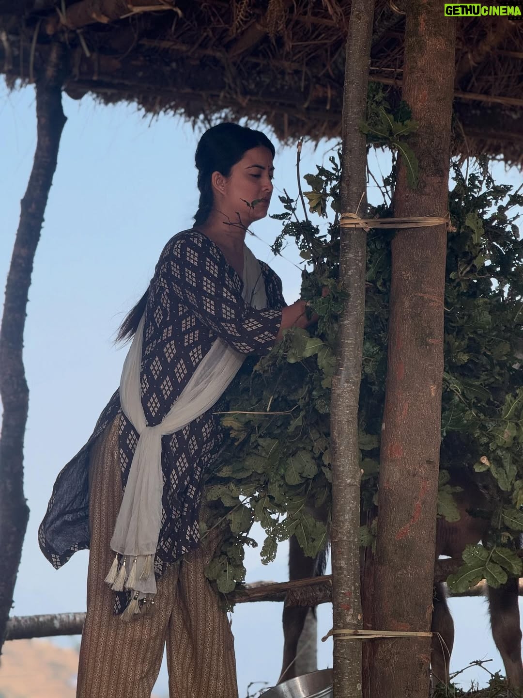 Niti Shah - 18.1K Likes - My 5th movie in just 2 years! ✨
Koshedhunga will always hold a very special place in my heart. The story beautifully revolves around the central character Shital @surakshyapanta 💖 My character Nilima, though a short and sweet role, carries a journey of her own to share.🌸 Every project teaches you something new, and with Koshedhunga I’ve grown wiser, more grateful, and inspired to keep creating. 💫 A heartfelt thank you to the iconic director of 'Purna Bahadur Sarangi' @director.sarojpoudel sir for trusting me to be a part of Koshedhunga. As the name suggests, may this project mark another milestone for him and our entire team to cherish and achieve. 🧿✨ 

🎬 Koshedhunga is officially out in cinemas from today ~ August 28 (Bhadra 12).
Can’t wait to see you all at the theatres and share this story together! ❤️