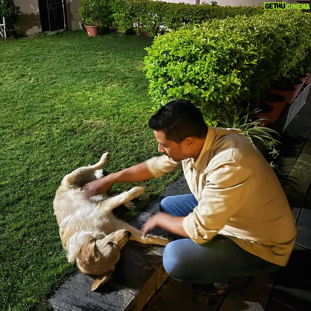 Niti Shah - 14.7K Likes - Judging Miss Universe Nepal ✨, a few pimples, indulging sweets, delicious food, lovely friends 🥰, and Dolly's cuddles 🐶💛 at @royaltulipkathmandu 📍