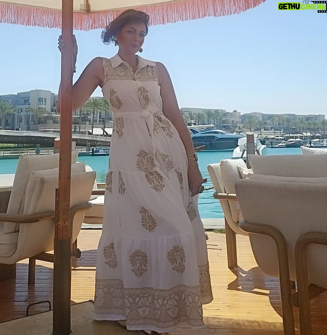 Nourhan - 545 Likes - 
