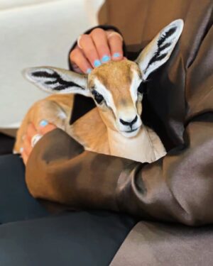 Nura Alumayri Instagram - 🦌